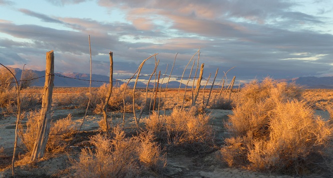 wooden fence in desert