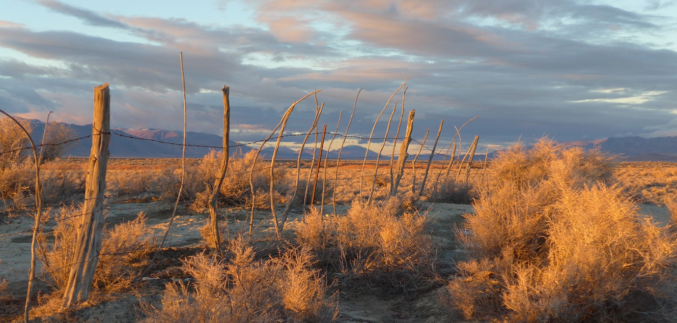 Desert landscape